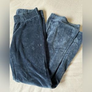 Aritzia/TNA tracksuit pants